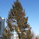 ���� �������, �������, 47 ��� - ��������� 10 ������� 2020 � ������ ������ ��������