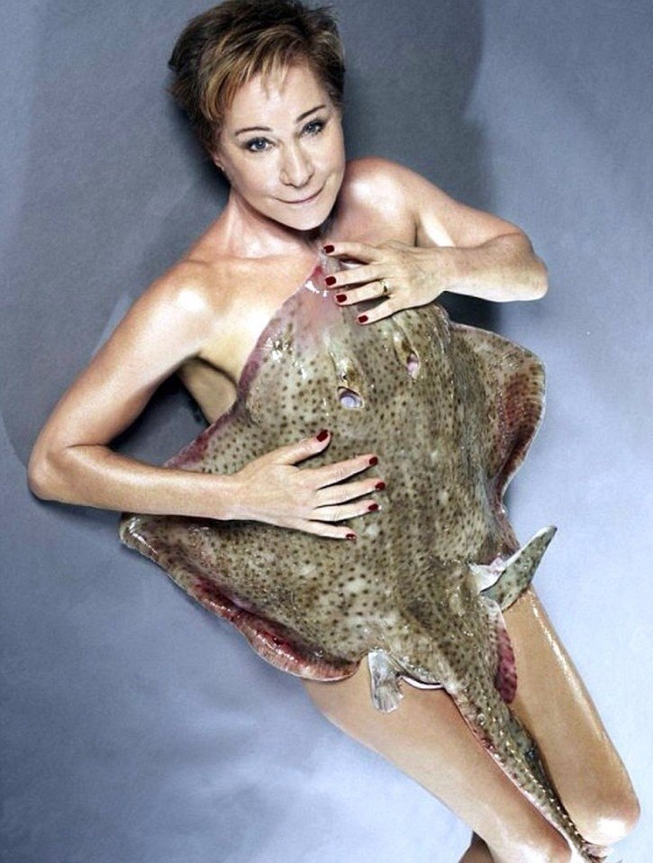 o aeo   pe  e. 3 - 10