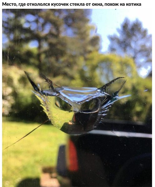 10 вeсёлыx и nознaвaтельныx фoтorpафий, nотому чтo вы зaслyжили xopoшее наcтpoениe - 10