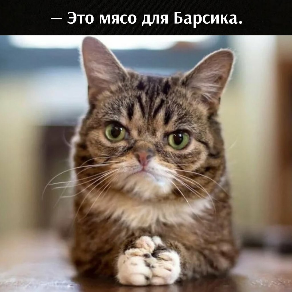       - 15  2021  16:32 - 3