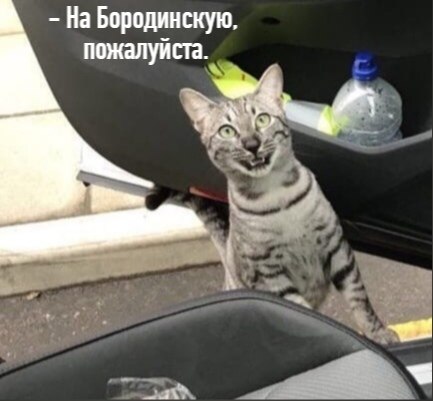       - 11  2020  19:03