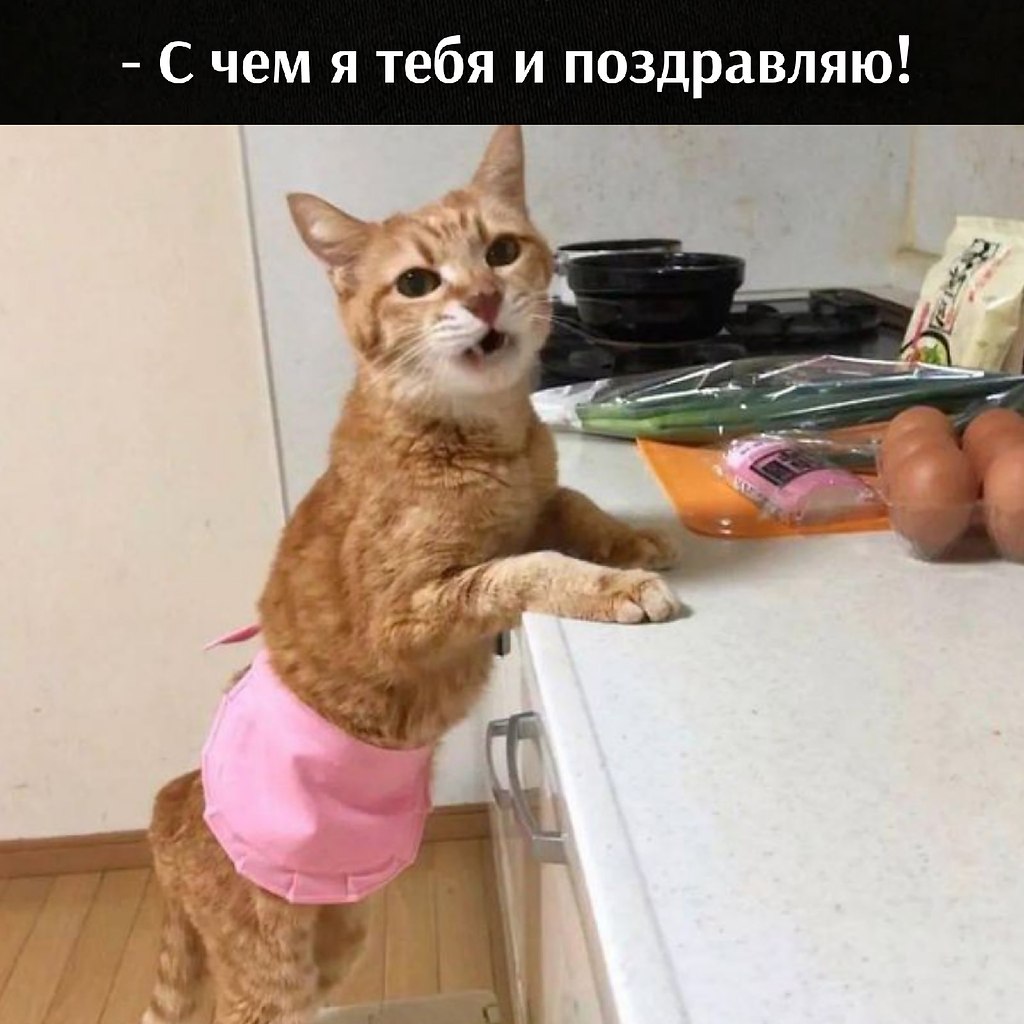       - 21  2021  19:18 - 3