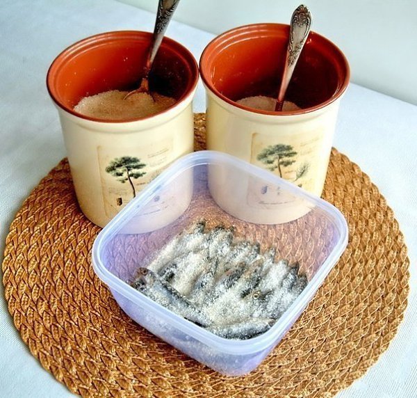 �������? �����!!! ��� ������ ����������� ������, ��� ����� ��� �������� �������. ������ ��� ���. ��� ... - 5