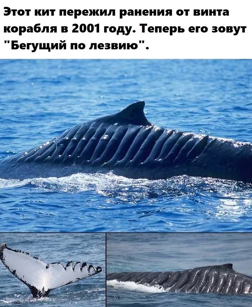 LIFE -  - 21  2020  19:56