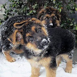 ���� Vladimir, ���������, 48 ��� - ��������� 4 ������� 2020