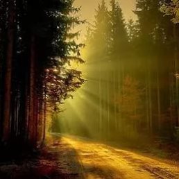 ���, ������������, 45 ���