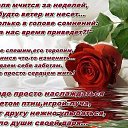 ���� ������, ������� - ��������� 13 ������� 2020 � ������ ���� ����������