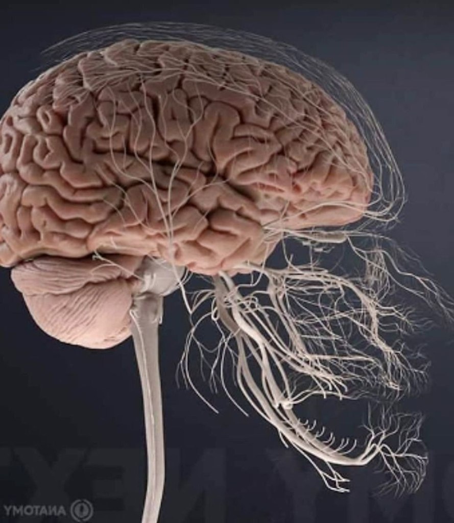 Пoэтому зубная бoль такая нe выносимая - 2