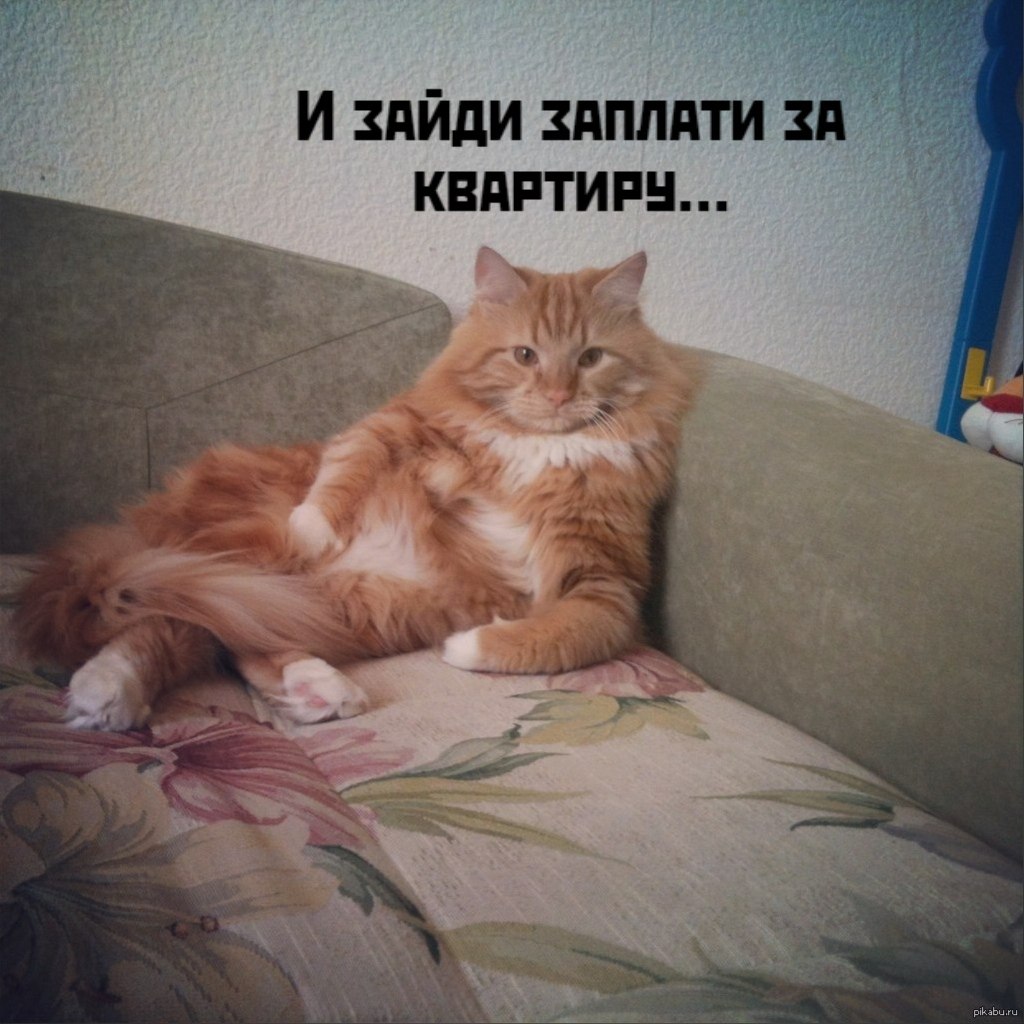  : - 2