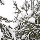 ���� �������, ������������, 55 ��� - ��������� 23 ������ 2021 � ������ ���� ����������