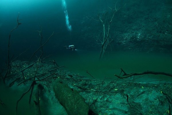 На дне Черного моря обнаружена река. Да, реки бывают и под водой - 2