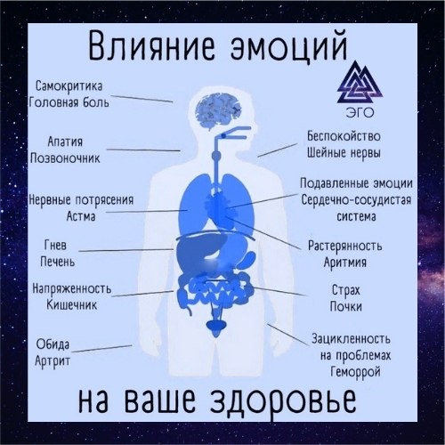  | ,  - 17  2020  18:48