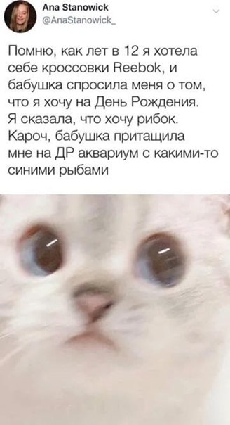   - 9  2020  03:38