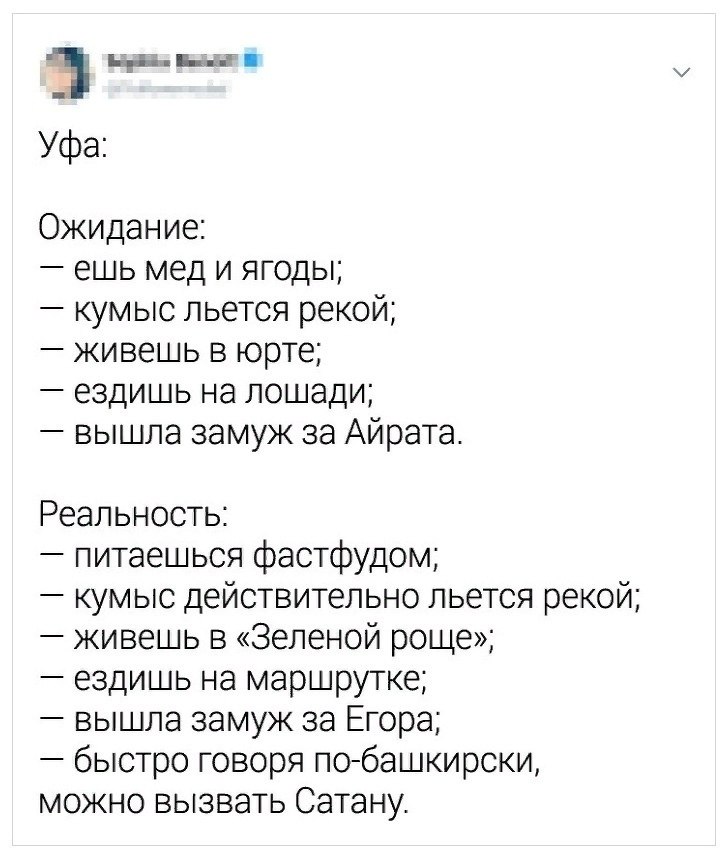    .  VS P. - 6