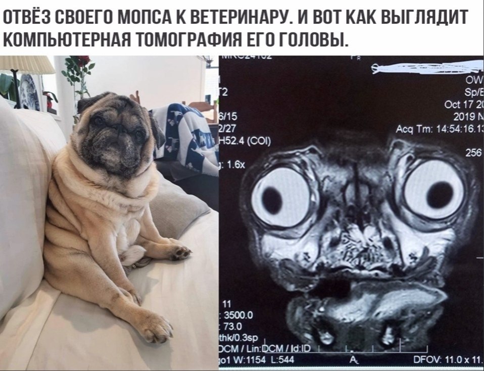 BEST | , ,  - 19  2020  19:07