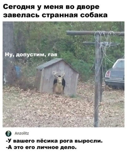 ����� ���������� - 12 ������ 2020 � 18:38