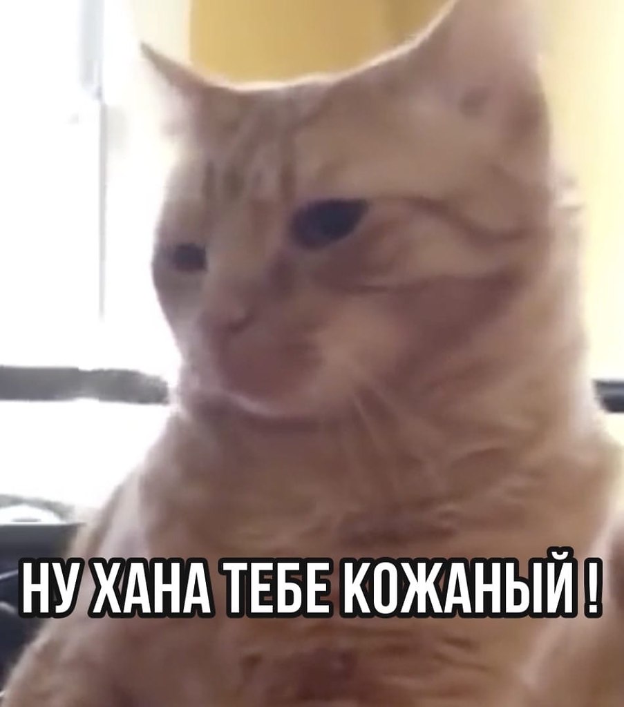  .      ,    ! - 5