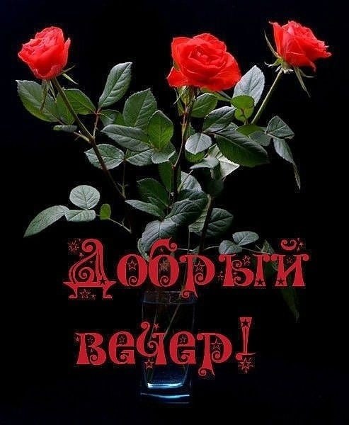   ,    . - 28  2021  18:08 - 8
