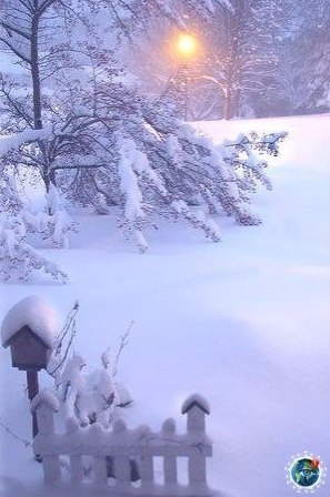 oee . - 4