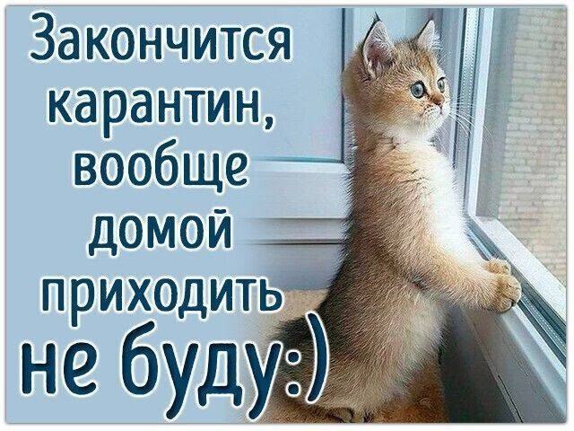  - 24  2021  17:43