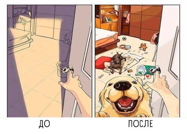  .y  ,  e o,   o. - 6