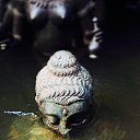  , -, 29  -  11  2020    