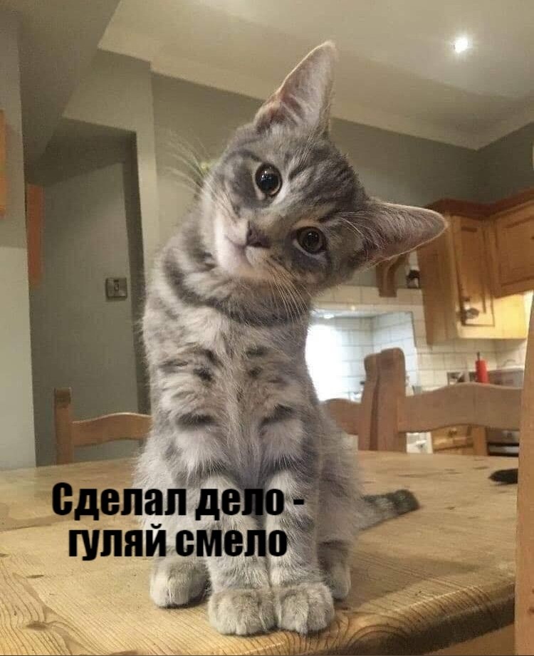       - 5  2021  09:31