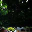 ���� �����, ��������, 55 ��� - ��������� 7 ������ 2020 � ������ ���� ����������