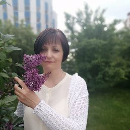 �����, ������, 55 ���