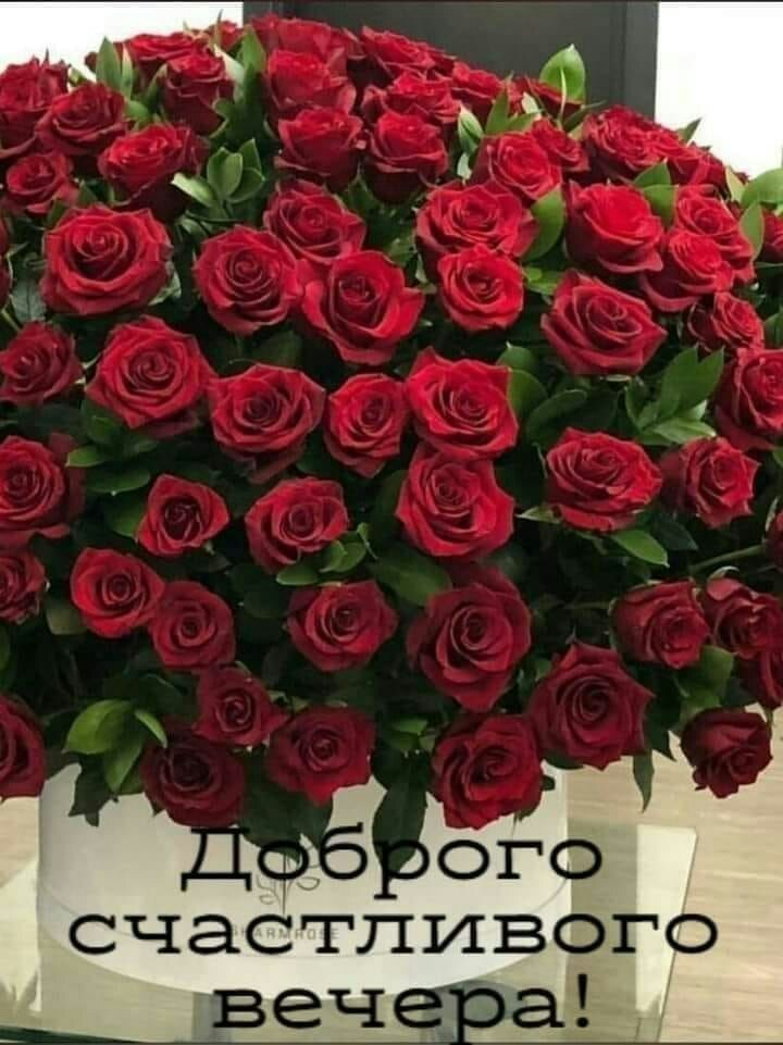   ,    . - 8  2021  20:07
