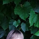 ���� ������, ��������, 61 ��� - ��������� 20 ������� 2020 � ������ ���� ����������