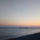 ���� �����, �������� - ��������� 7 ������� 2020 � ������ ���� ����������