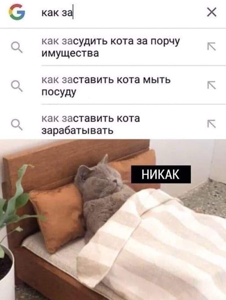 ����� ���������� - 6 ������ 2020 � 19:57