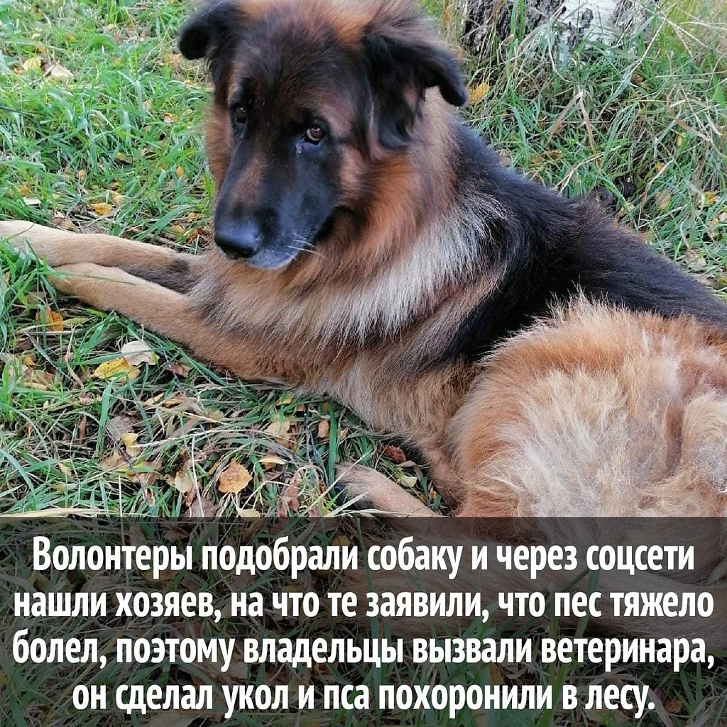   (   - 2