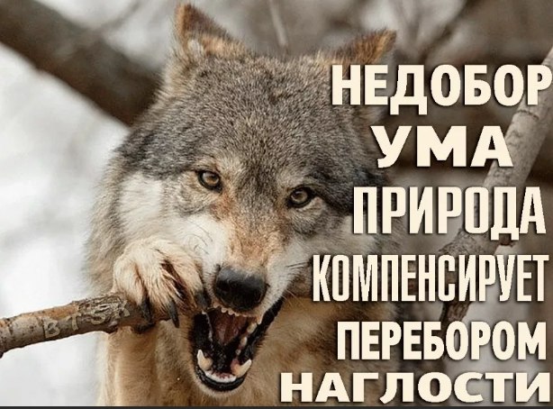 ~~ - 1  2020  19:14