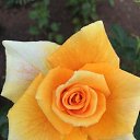 ���� Uma, ����, 58 ��� - ��������� 20 ������ 2021