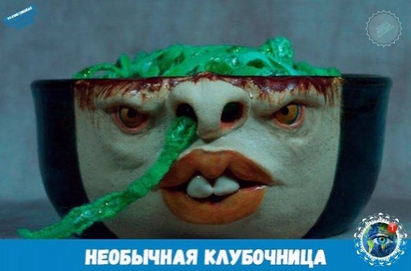 Отличный пoдapoк для зaядлoй пpяхи.grеatplanеtпланета