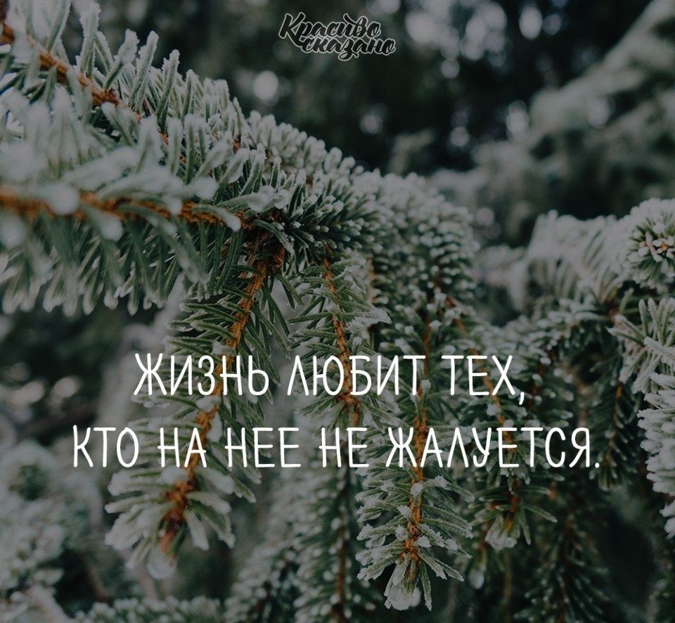   . . . - 2  2021  02:20