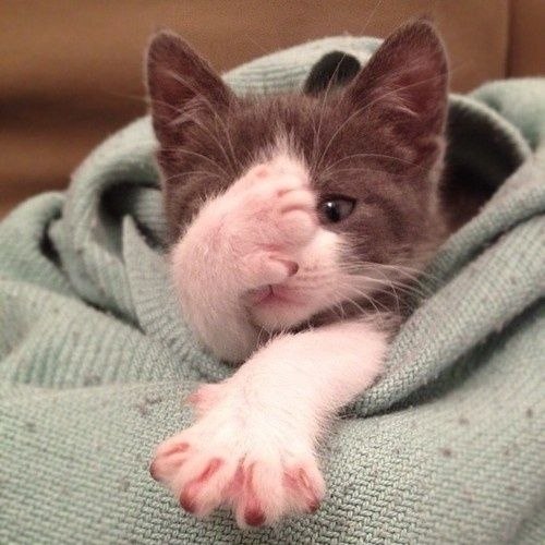 ,   ,  !!!!)))