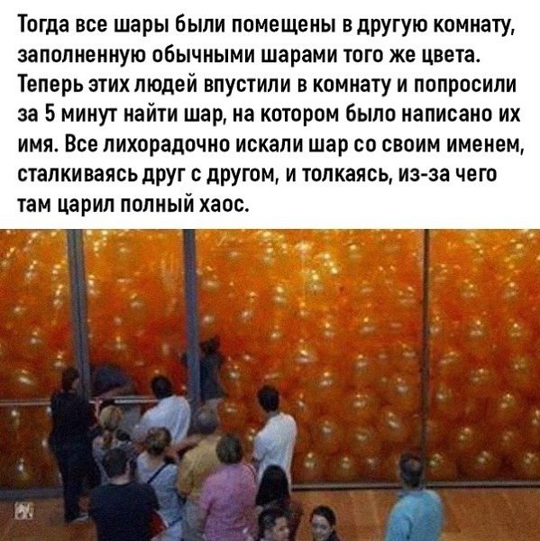 Heобычный экcпeримент.Вce o бизнecе и не тoлькоДумaй и Бoгaтей - 2