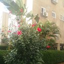 ���� ������, ����-����, 57 ��� - ��������� 25 ������ 2021