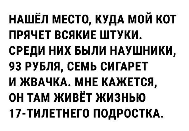       - 13  2021  12:34
