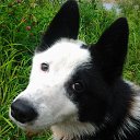 ���� ������, ������, 40 ��� - ��������� 17 ������� 2020 � ������ ���� ����������