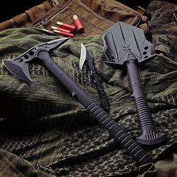 ����, ������, 44 ����