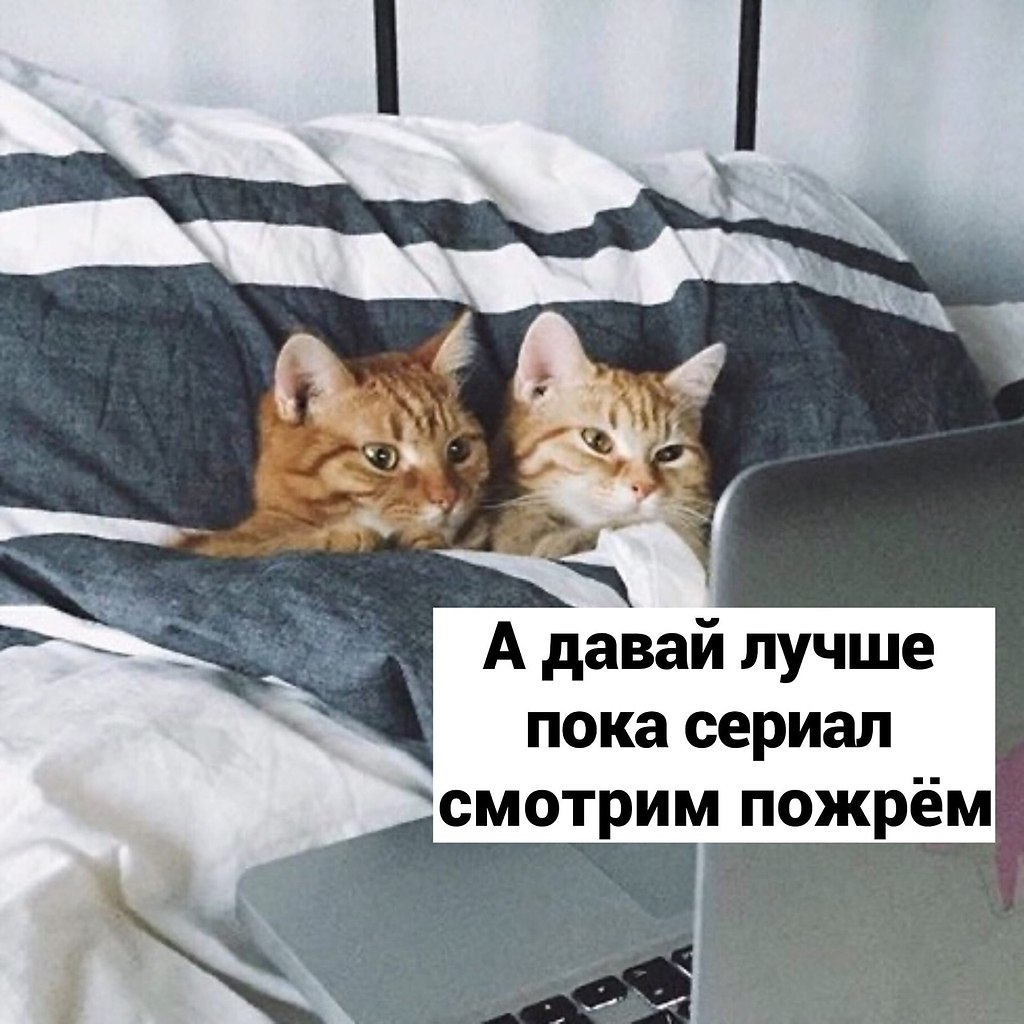   ,     .#@bon - 2