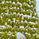 ���� ������, ����������, 45 ��� - ��������� 9 ������ 2021 � ������ ���� ����������