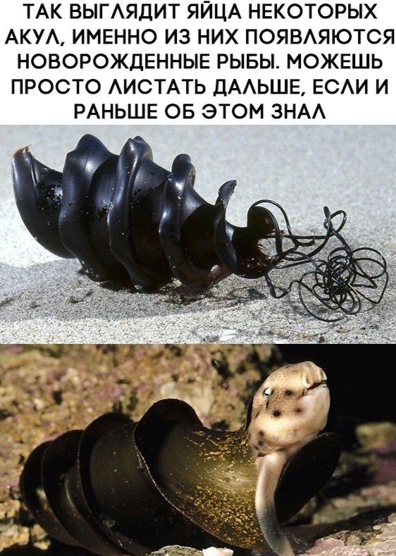 LIFE -  - 4  2020  19:02