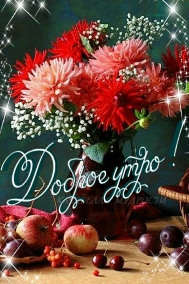   ,    . - 13  2020  21:01 - 7