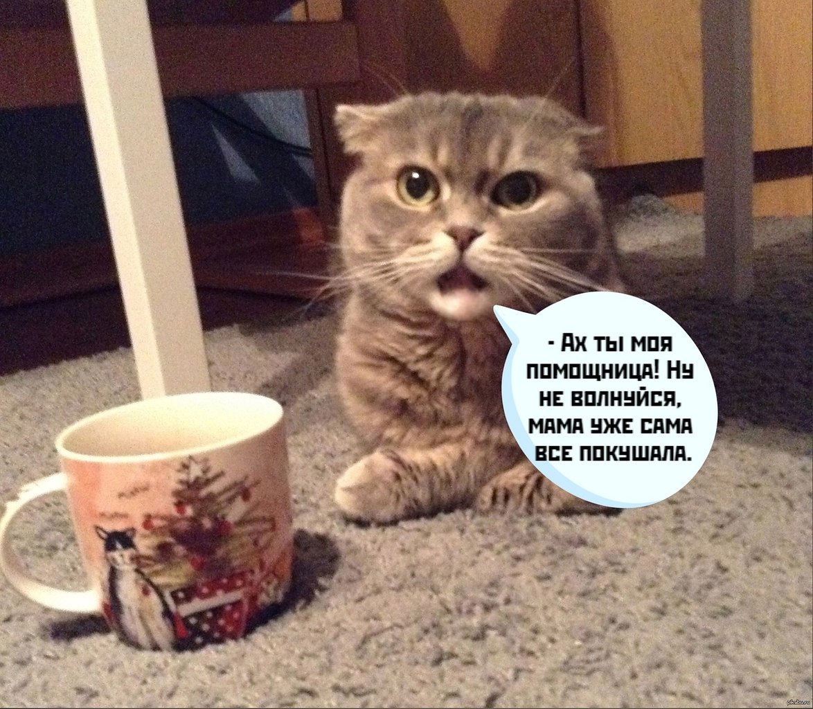       - 1  2021  21:36 - 2