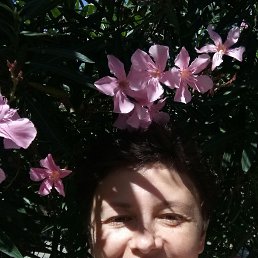 ����, ���������, 48 ���